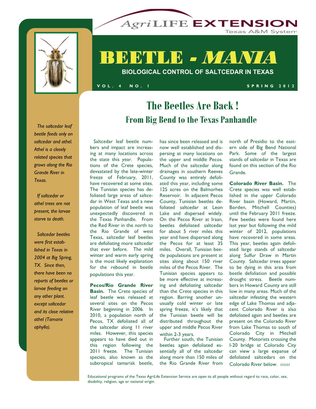 Beetle-Mania Is a Newsletter on Biological Control of Saltcedar in Texas, and Is Written and Produced by Allen Knutson, Texas Agrilife Extension