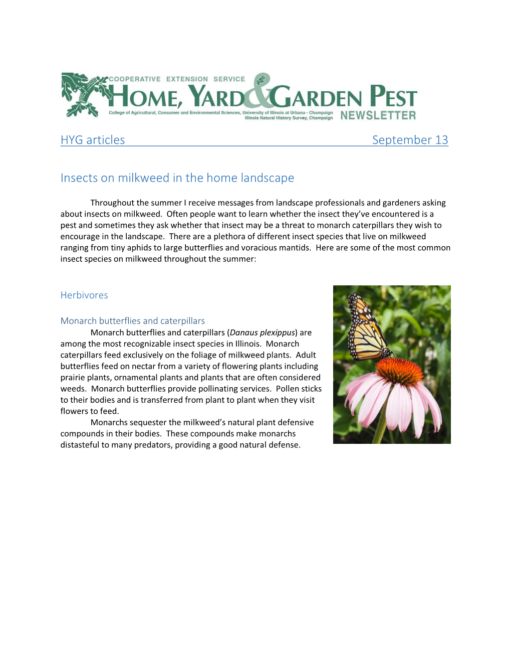 HYG Articles September 13 Insects on Milkweed in the Home Landscape