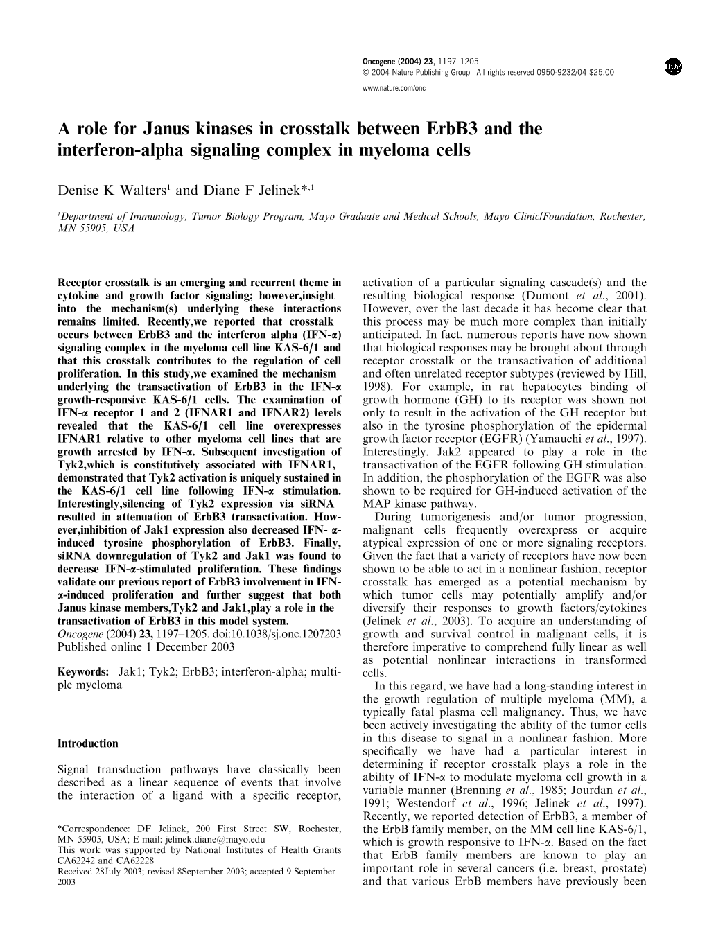 A Role for Janus Kinases in Crosstalk Between Erbb3 and the Interferon-Alpha Signaling Complex in Myeloma Cells