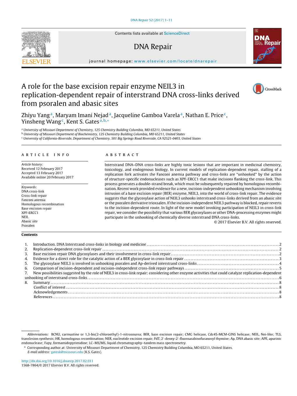 A Role for the Base Excision Repair Enzyme NEIL3 in Replication