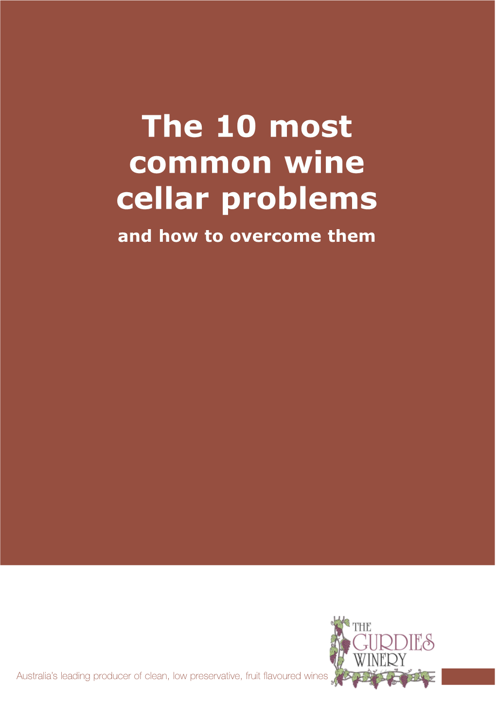 The 10 Most Common Wine Cellar Problems and How to Overcome Them