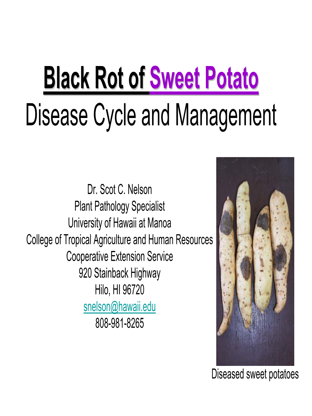 Black Rot of Sweet Potato Disease Cycle and Management