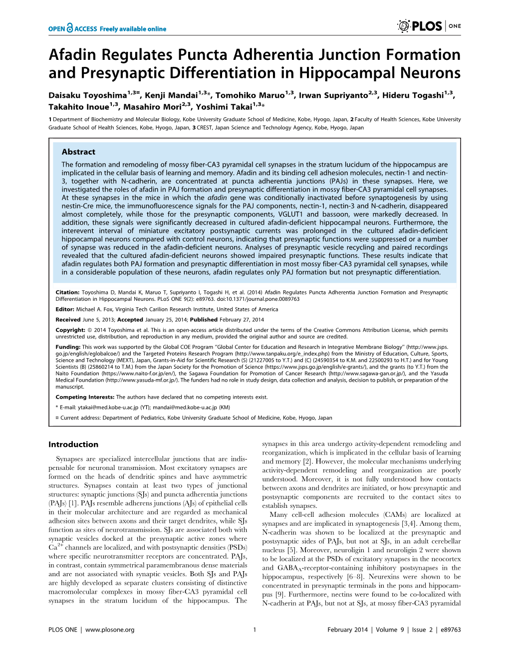 Afadin Regulates Puncta Adherentia Junction Formation and Presynaptic Differentiation in Hippocampal Neurons