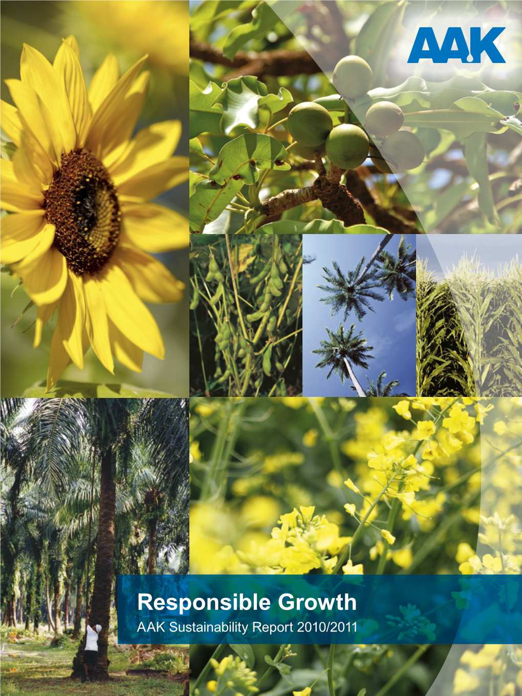 Responsible Growth AAK Sustainability Report 2010/2011 About This Report