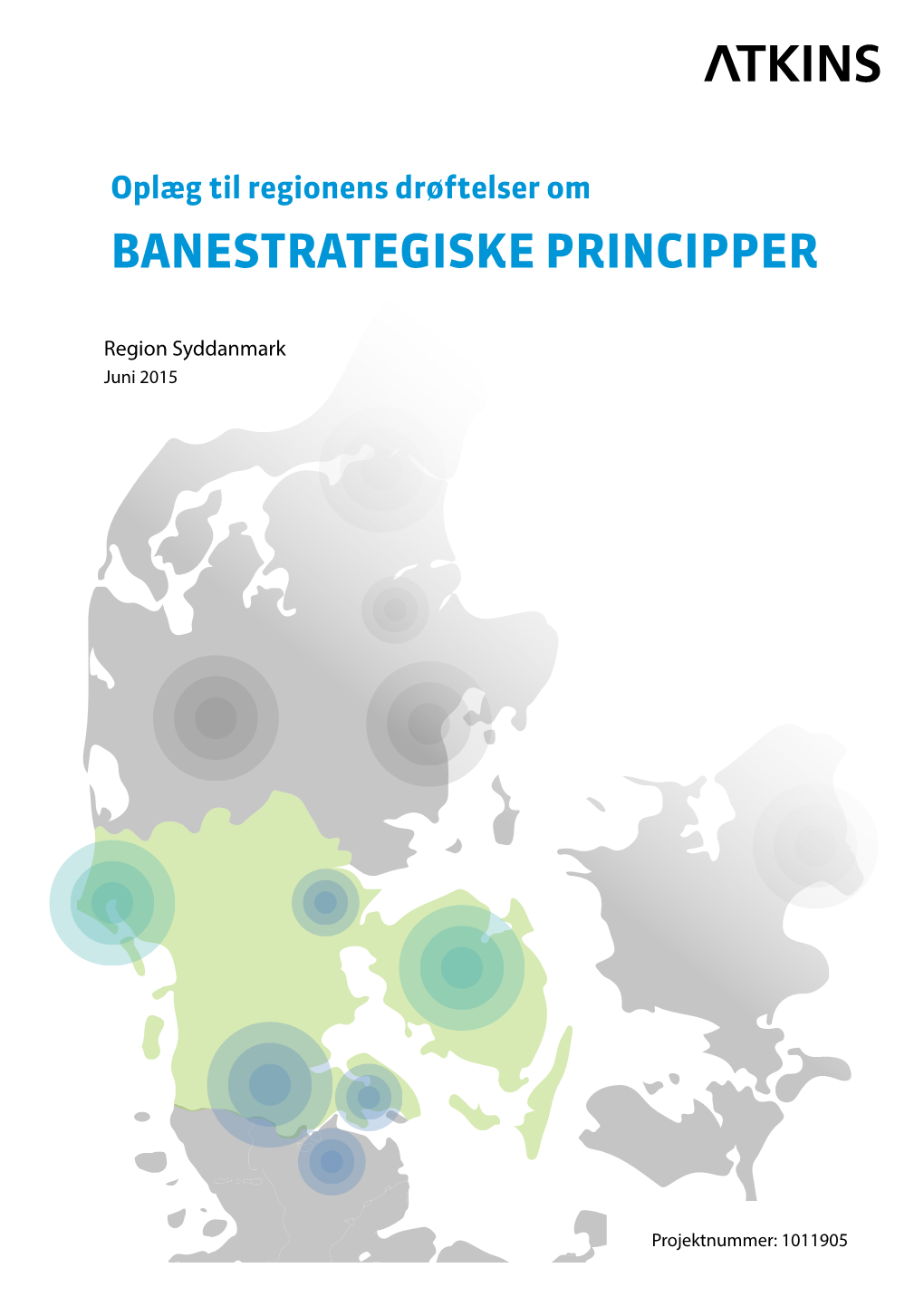 Banestrategiske Principper