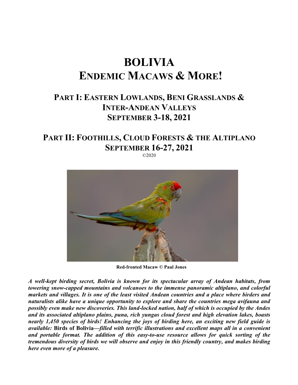 Bolivia Endemic Macaws & More!