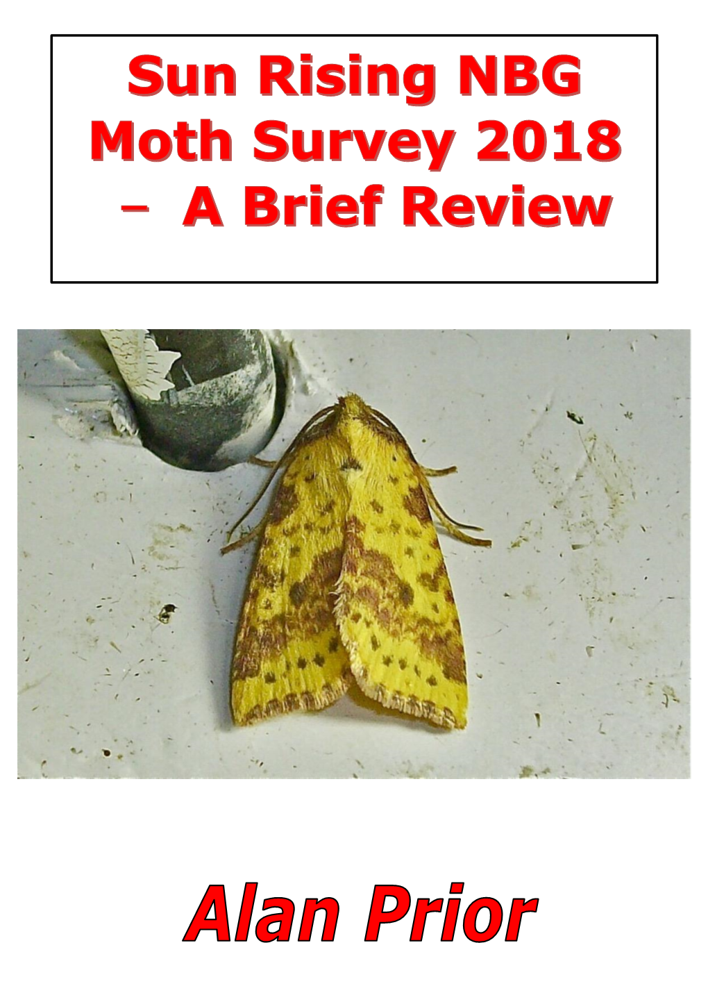 Moth Survey 2018