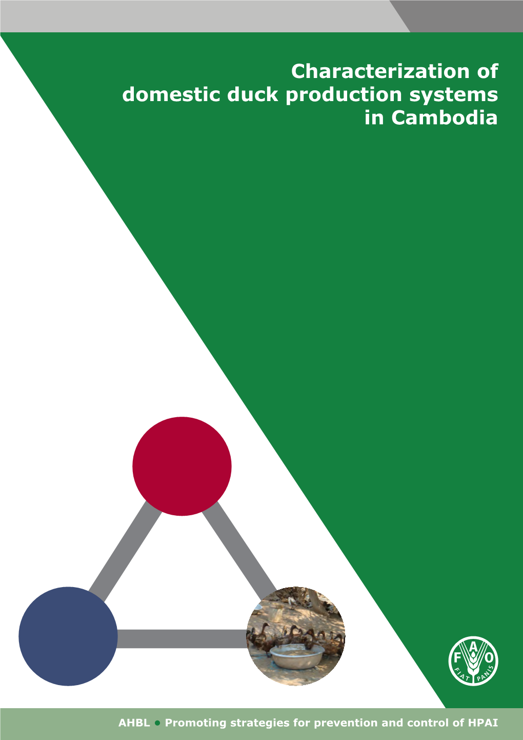 Characterization of Domestic Duck Production Systems in Cambodia