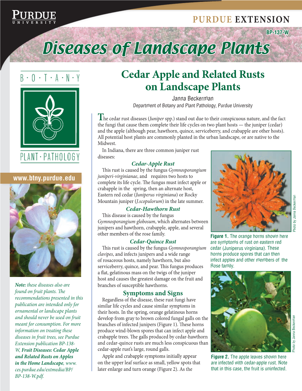 Diseases of Landscape Plants Cedar Apple and Related Rusts on Landscape Plants Janna Beckerman Department of Botany and Plant Pathology, Purdue University