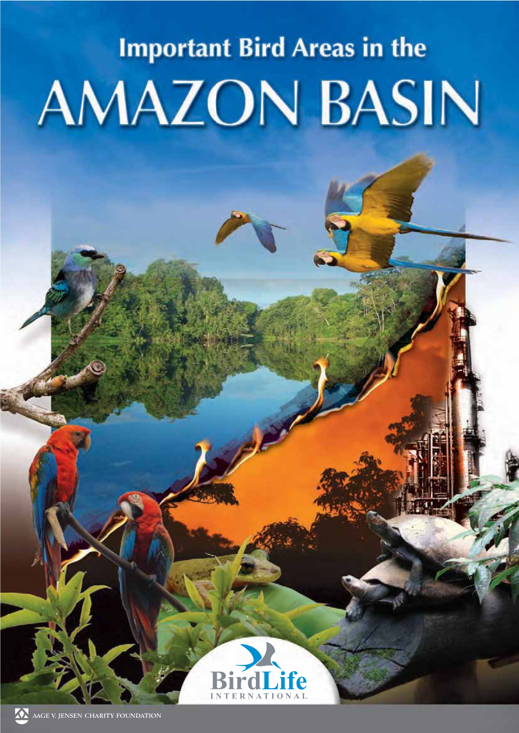 Important Bird Areas in the Amazon Basin