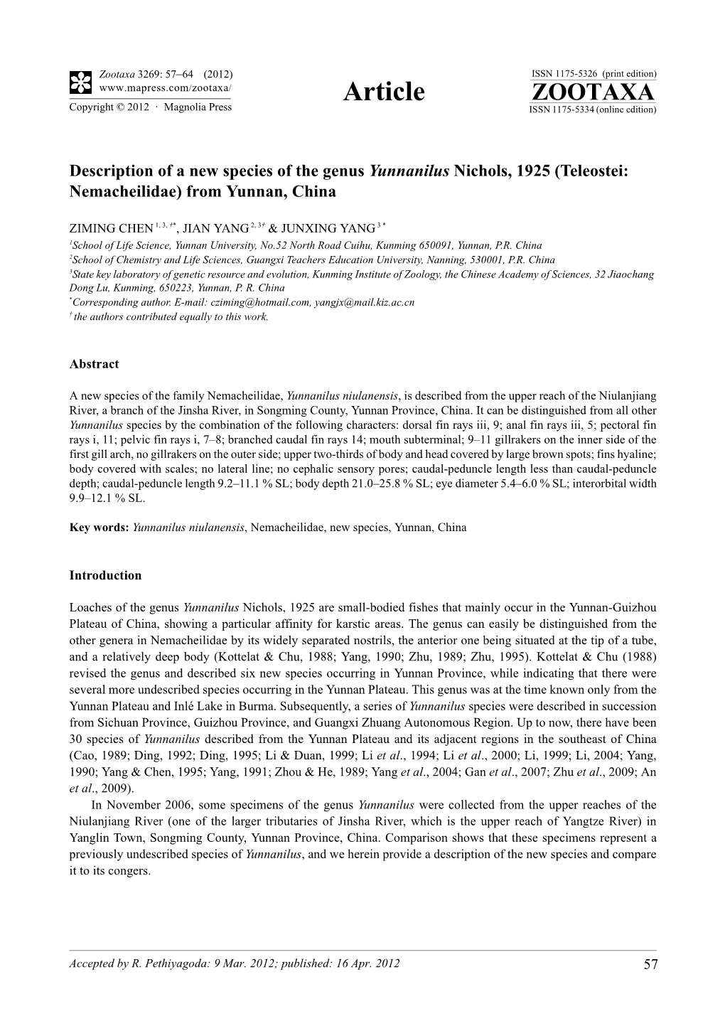 Description of a New Species of the Genus Yunnanilus Nichols, 1925 (Teleostei: Nemacheilidae) from Yunnan, China