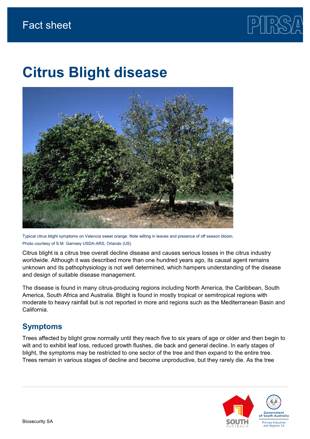 Citrus Blight Disease