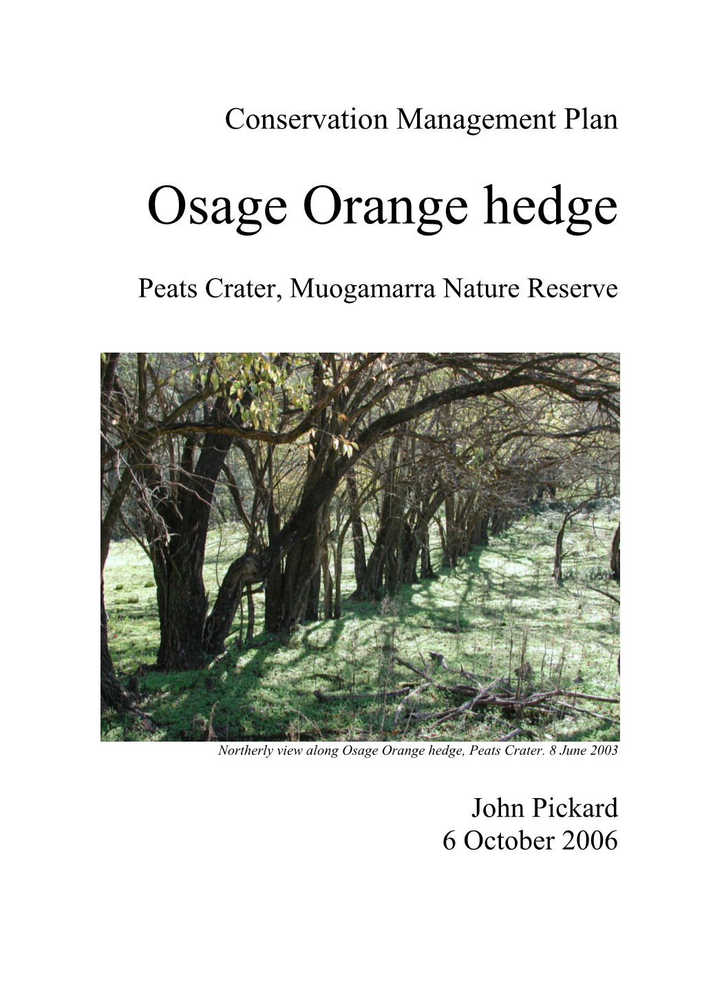 Osage Orange Hedge, Muogamarra