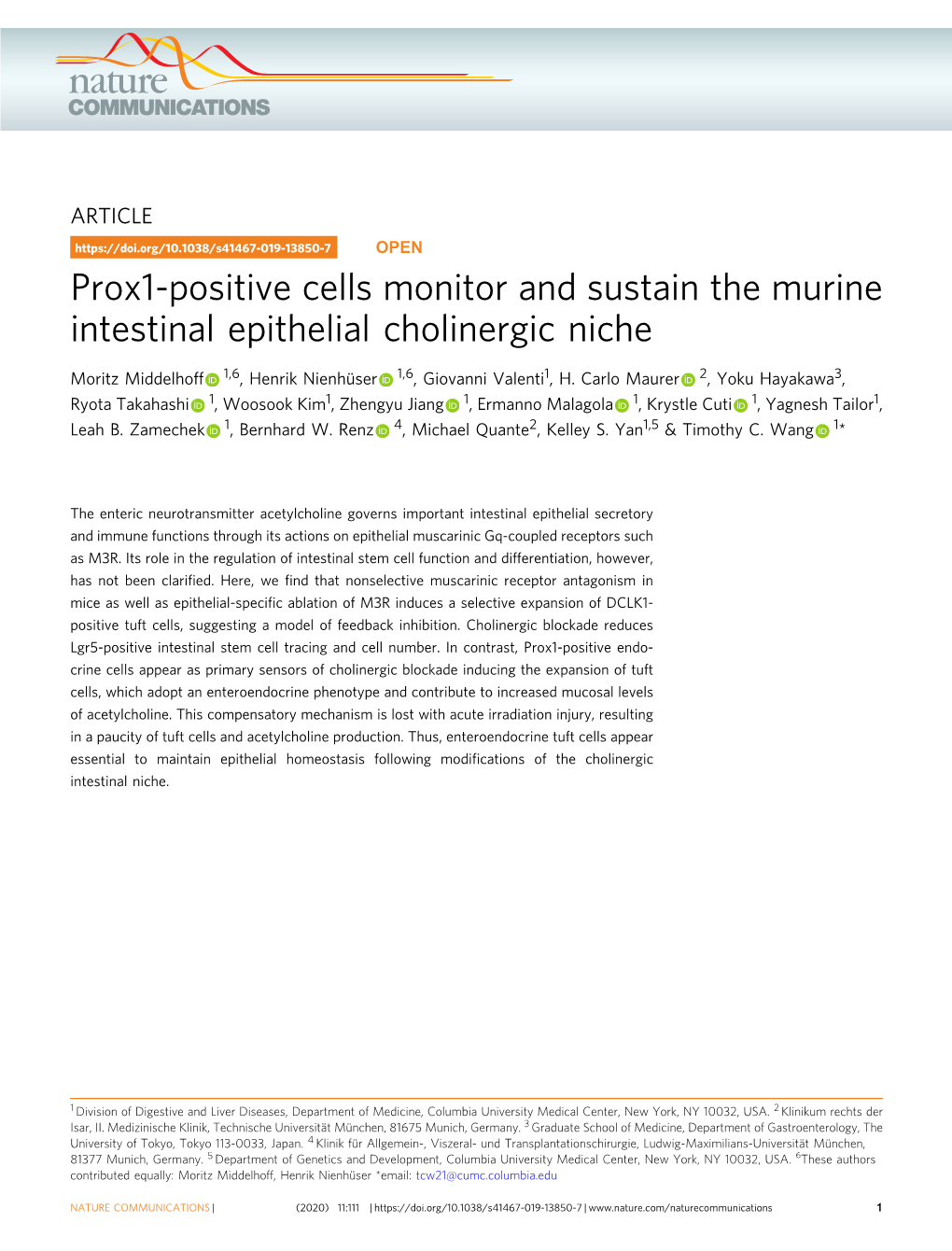 Prox1-Positive Cells Monitor and Sustain the Murine Intestinal Epithelial Cholinergic Niche