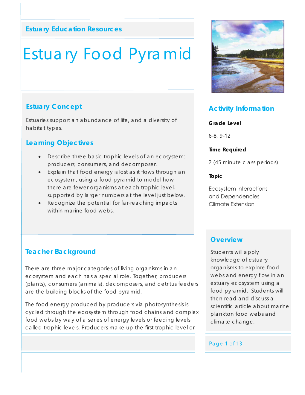 Estuary Food Pyramid