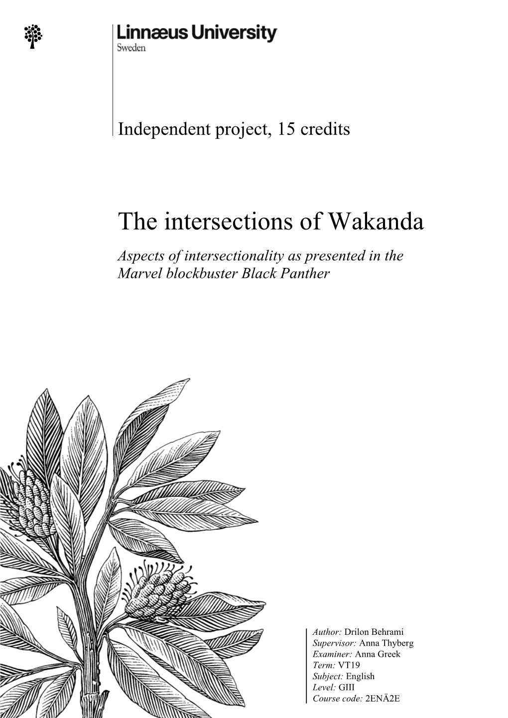 The Intersections of Wakanda Aspects of Intersectionality As Presented in the Marvel Blockbuster Black Panther