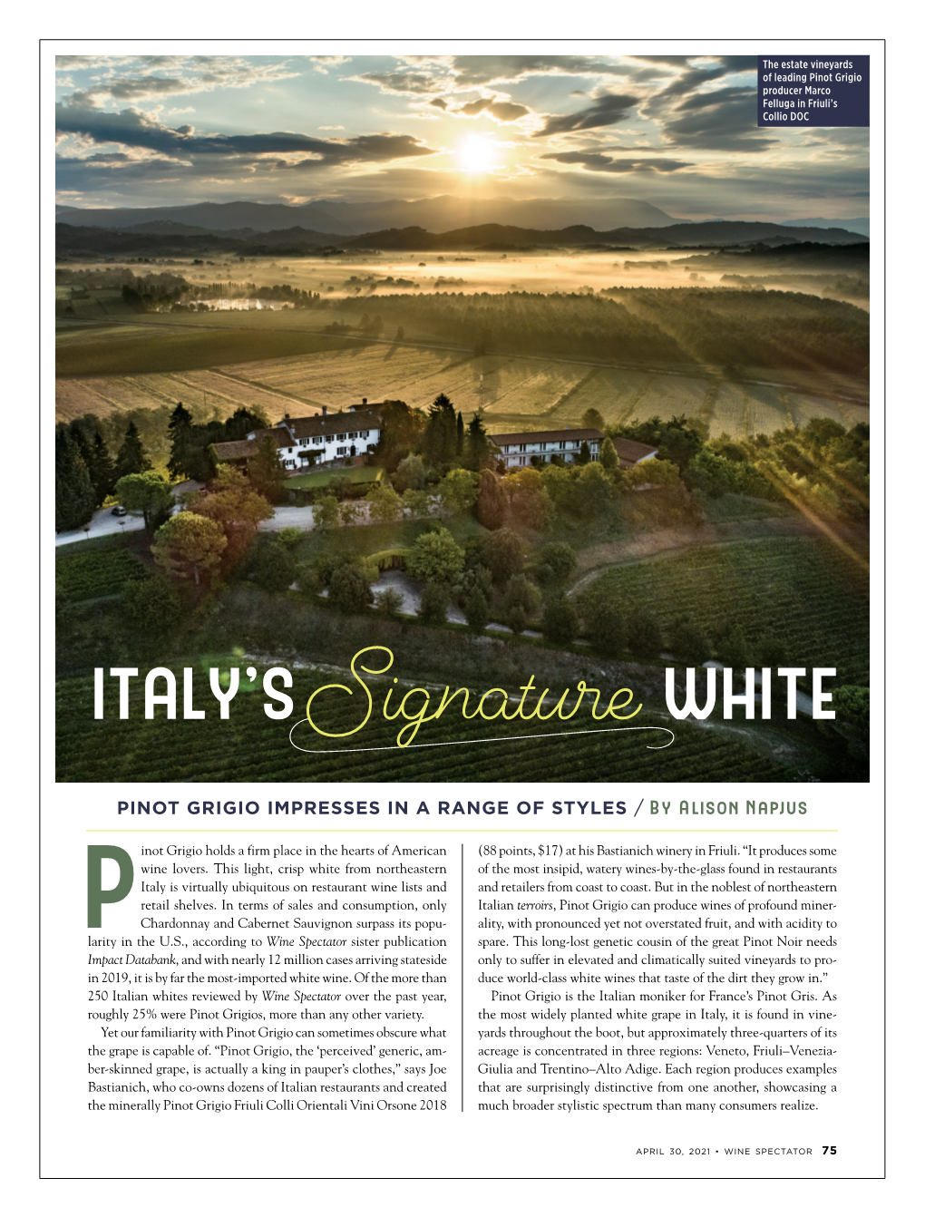 Italy's Signature White: Pinot Grigio Impresses