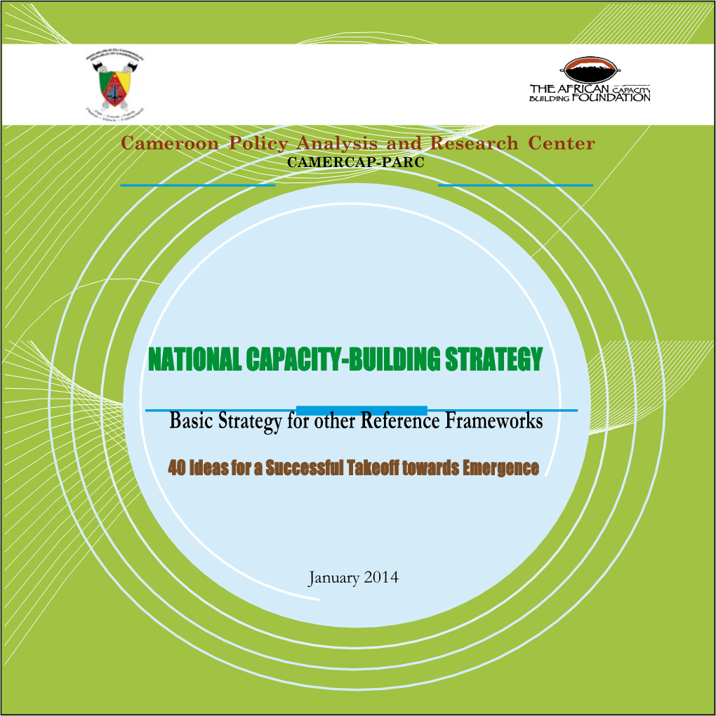 National Capacity-Building Strategy