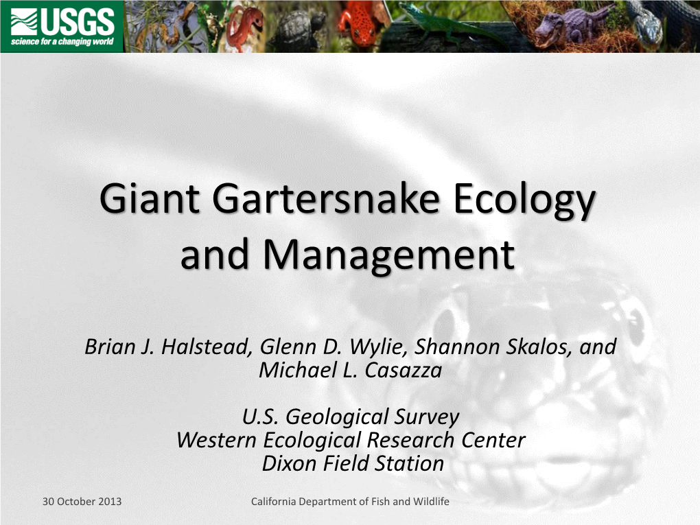 Giant Gartersnake Presentation Slides