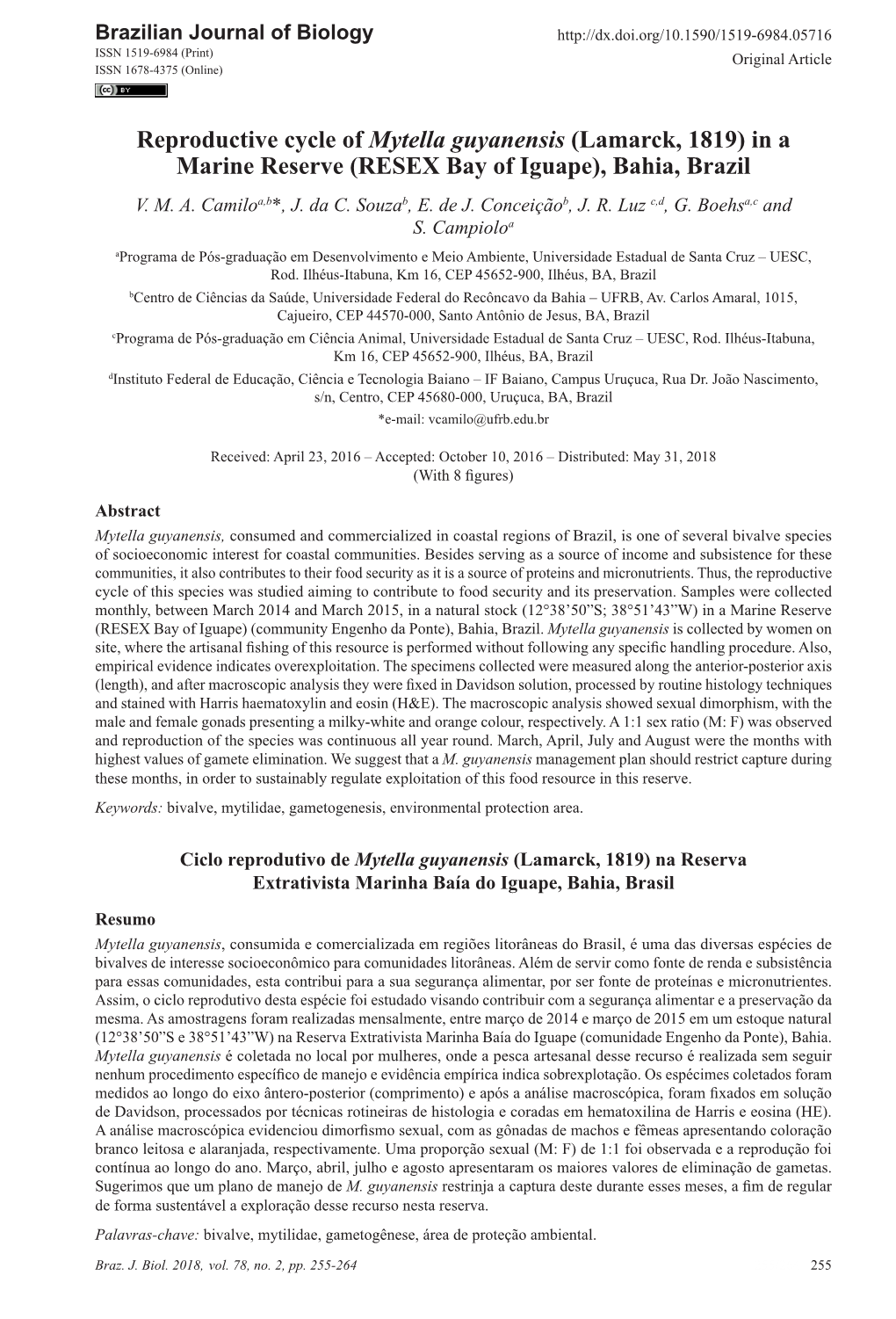 Reproductive Cycle of Mytella Guyanensis (Lamarck, 1819) in a Marine Reserve (RESEX Bay of Iguape), Bahia, Brazil V