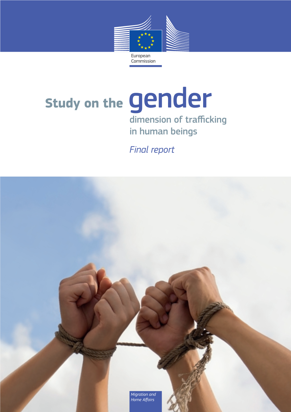 Study on the Gender Dimension of Trafficking in Human Beings Final Report