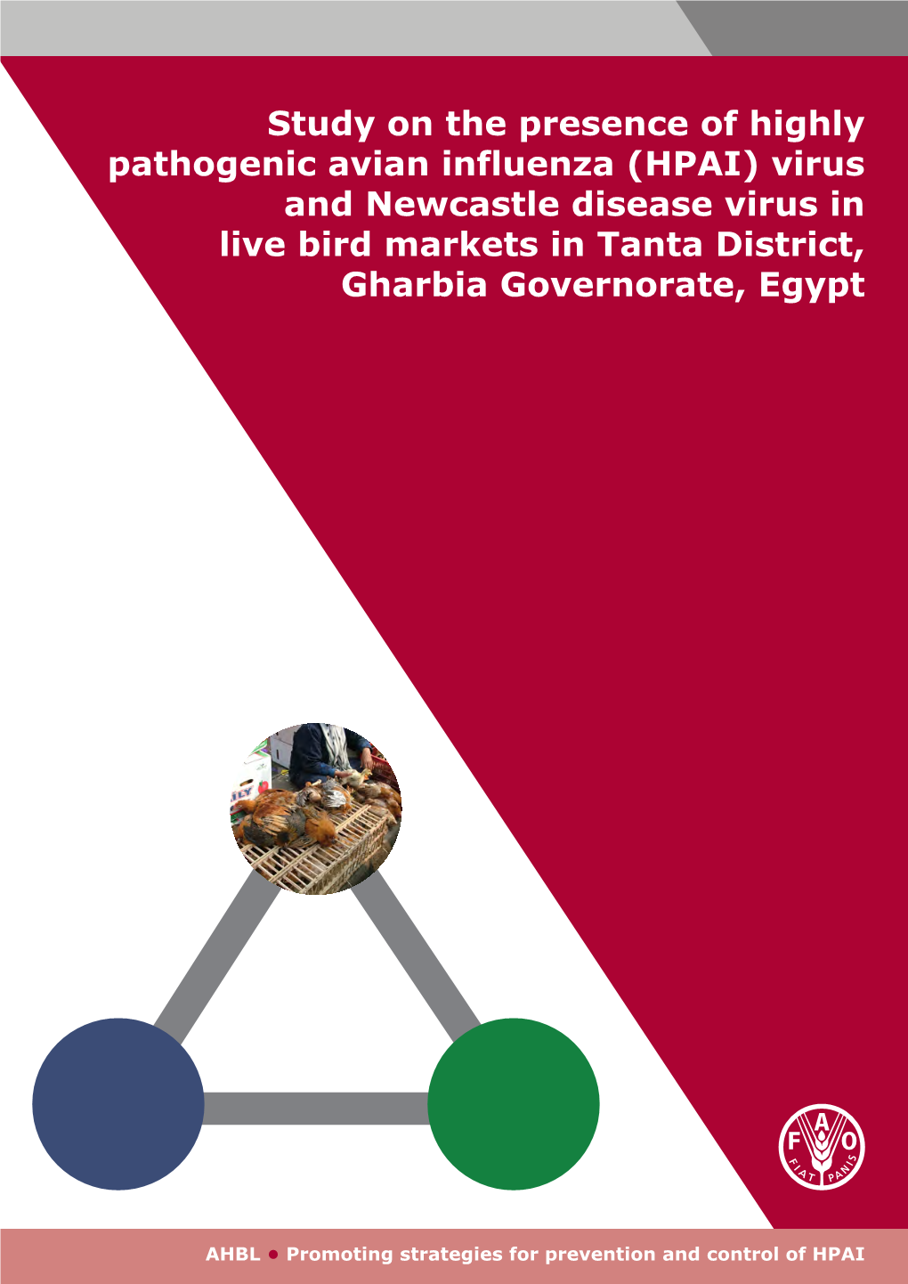 Study on the Presence of Highly Pathogenic Avian Influenza (HPAI) Virus and Newcastle Disease Virus in Live Bird Markets in Tanta District, Gharbia Governorate, Egypt