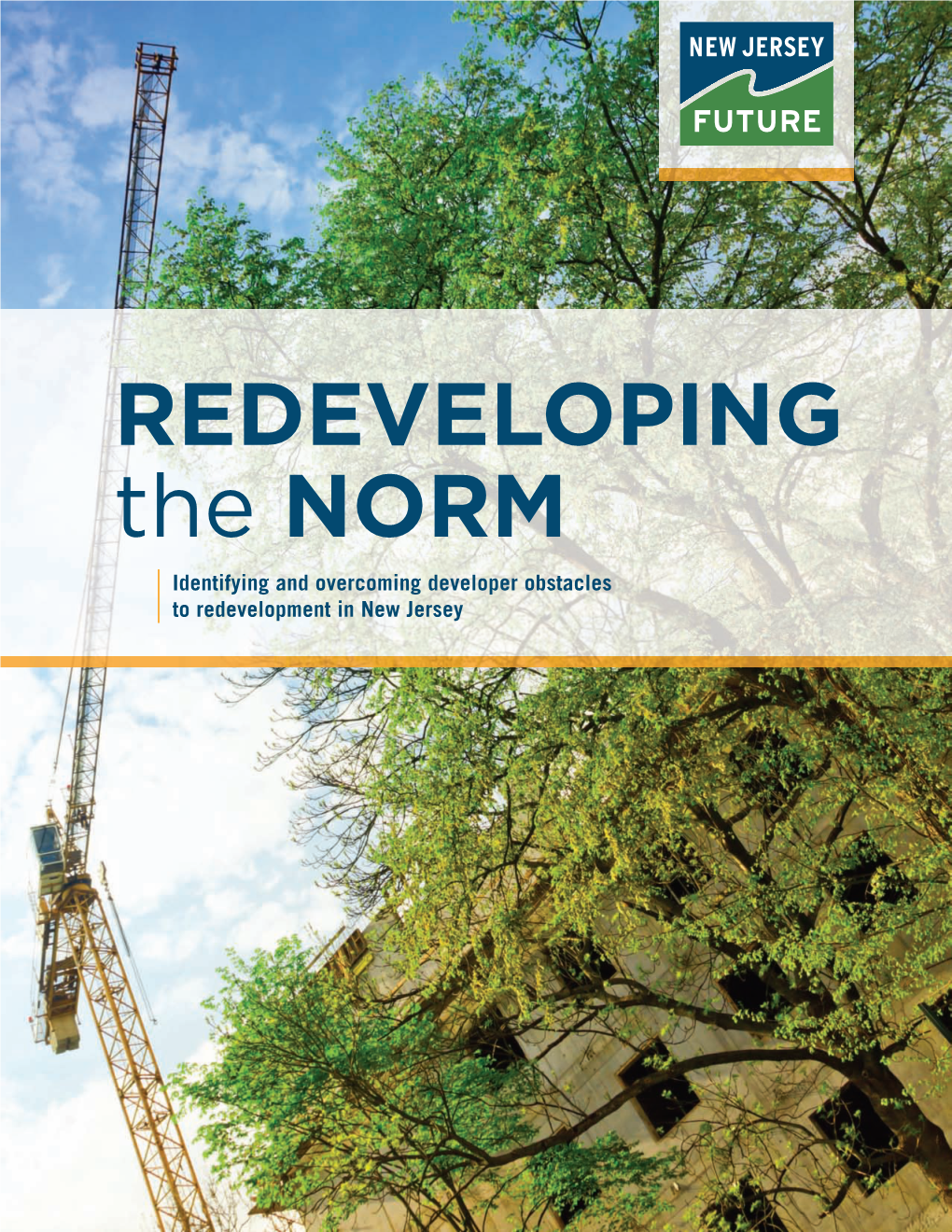 REDEVELOPING the NORM