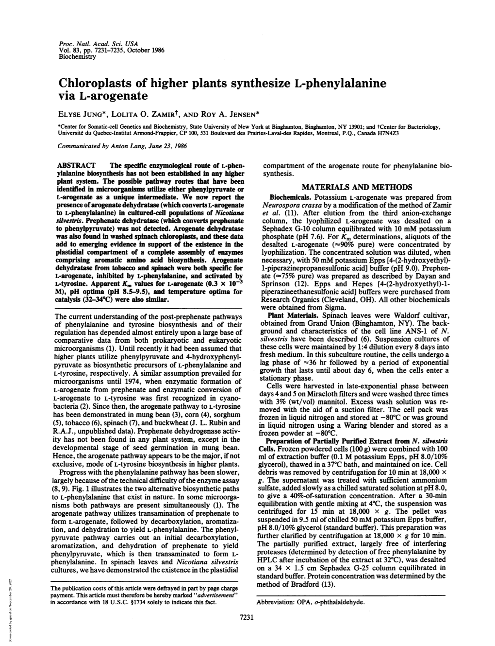 Chloroplasts of Higher Plants Synthesize L-Phenylalanine Via L-Arogenate