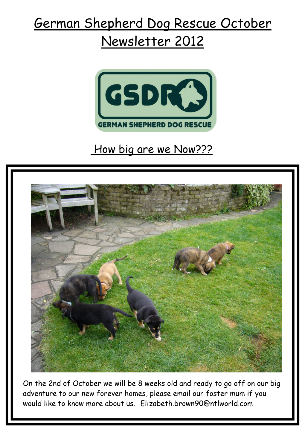 German Shepherd Dog Rescue October Newsletter 2012