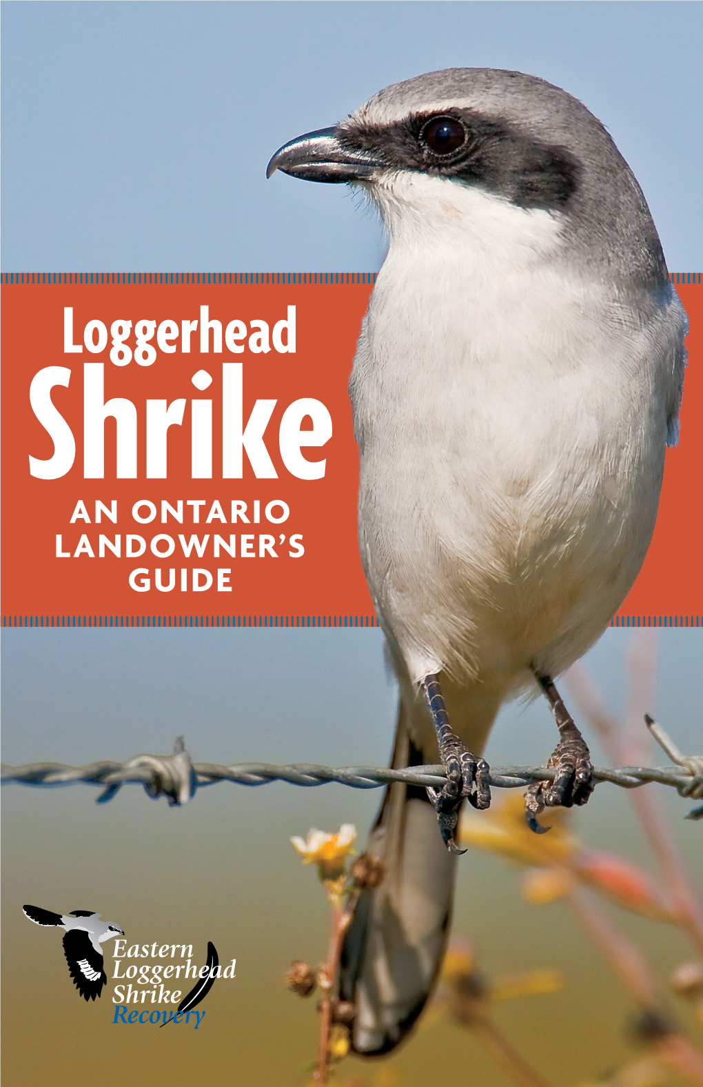 Loggerhead Shrike: an Ontario Landowner's Guide