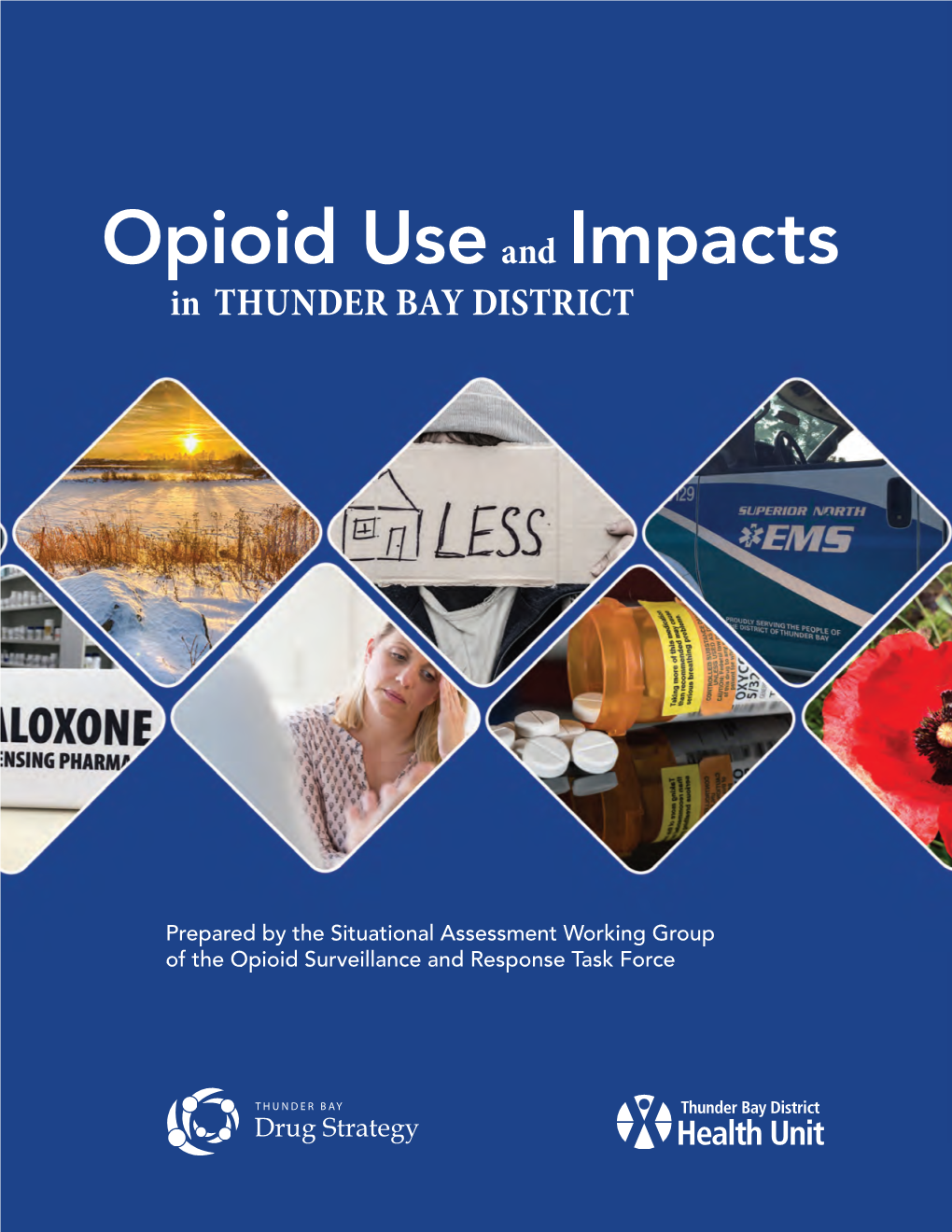 Opioid Use and Impacts in THUNDER BAY DISTRICT