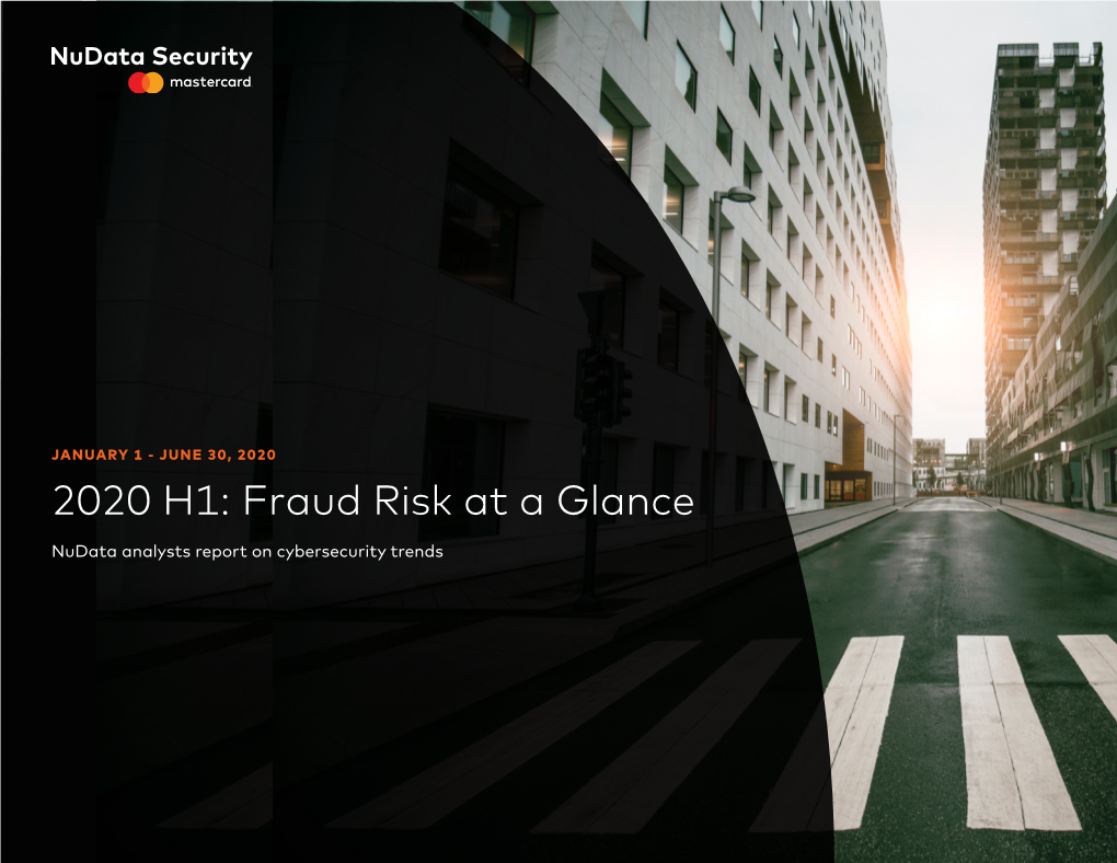 2020 H1: Fraud Risk at a Glance