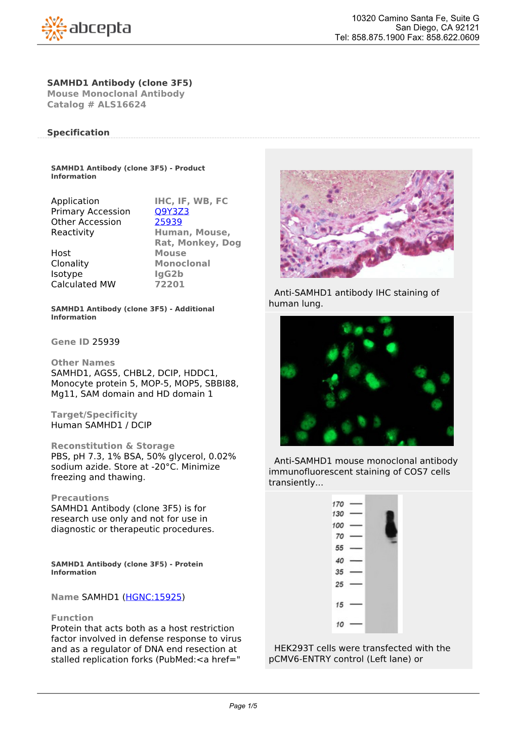 SAMHD1 Antibody (Clone 3F5) Mouse Monoclonal Antibody Catalog # ALS16624