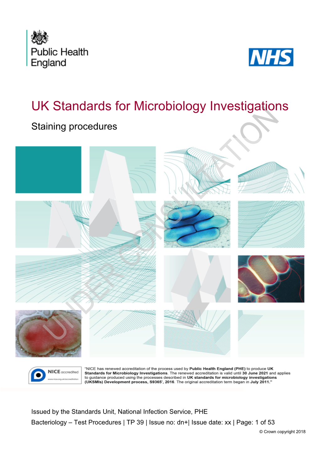 UK Standards for Microbiology Investigations