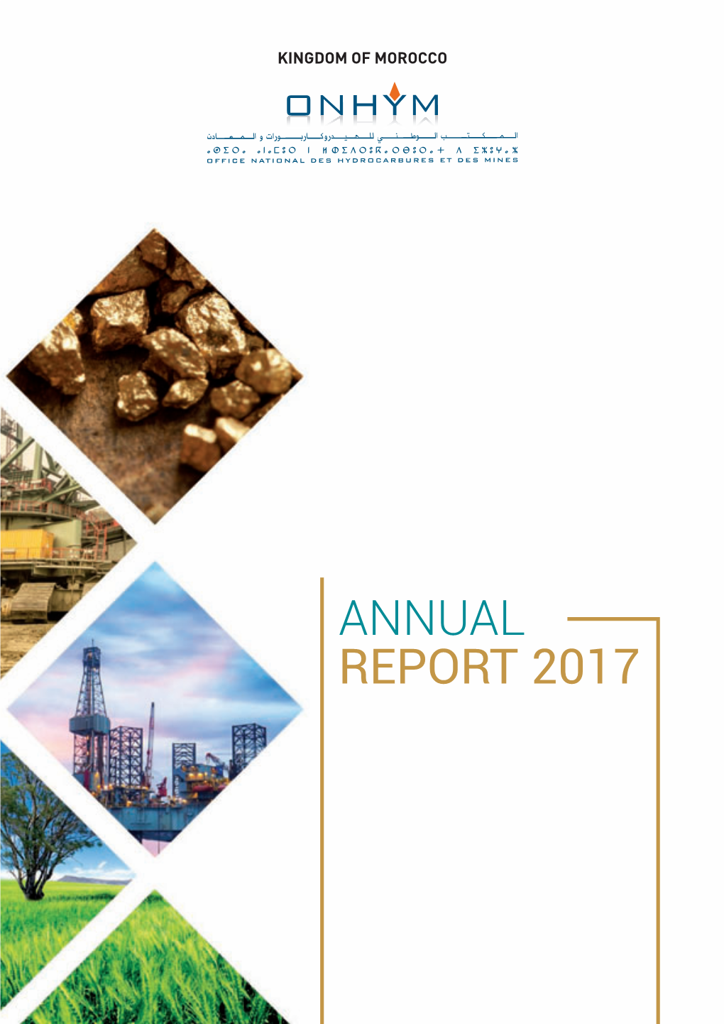 Annual Report 2017