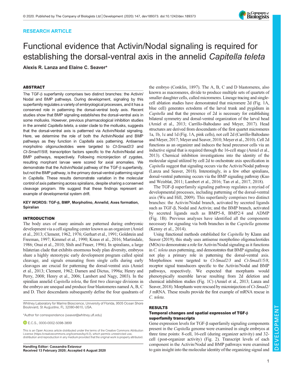 Functional Evidence That Activin/Nodal Signaling Is Required for Establishing the Dorsal-Ventral Axis in the Annelid Capitella Teleta Alexis R