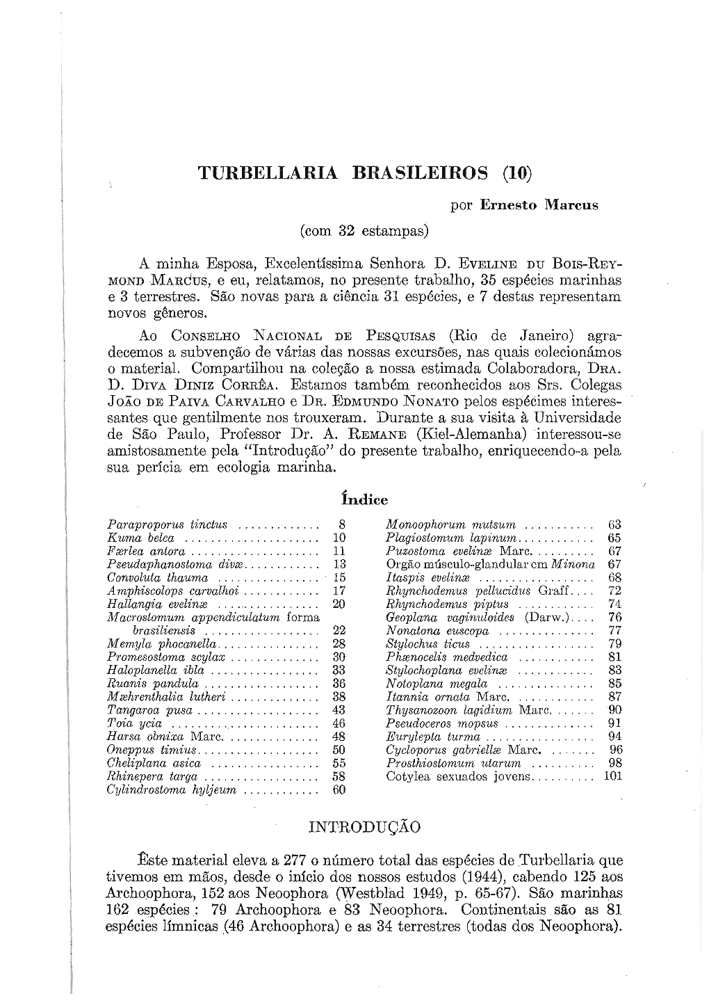 Turbellaria Brasileiros (10)