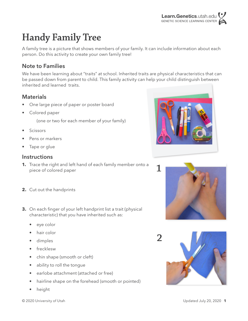 Handy Family Tree a Family Tree Is a Picture That Shows Members of Your Family