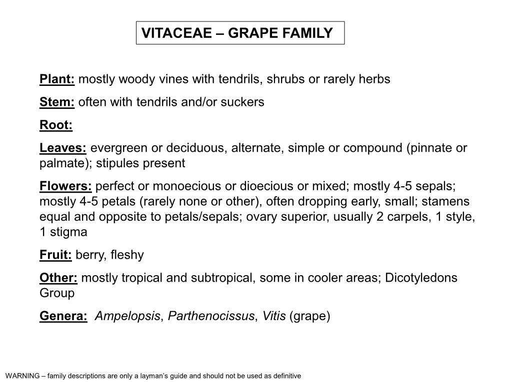 Vitaceae – Grape Family