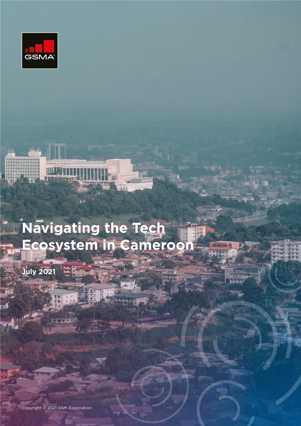 Navigating the Tech Ecosystem in Cameroon