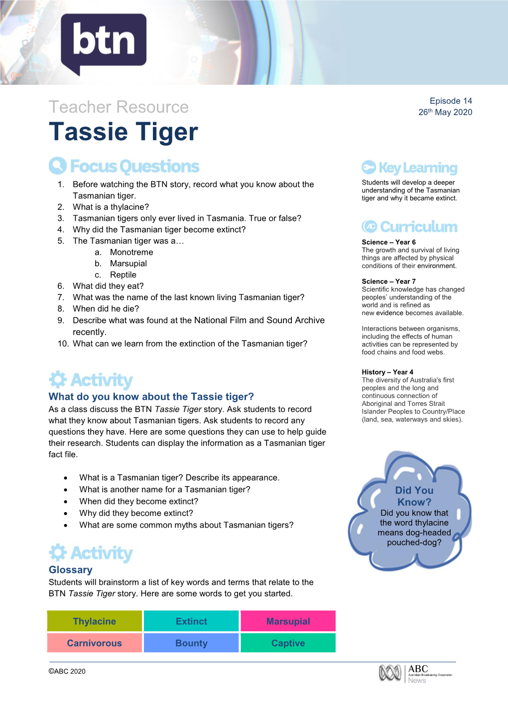 Tassie Tiger