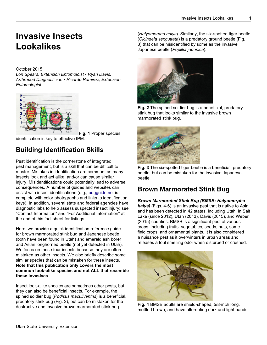 Invasive Insects Lookalikes 1