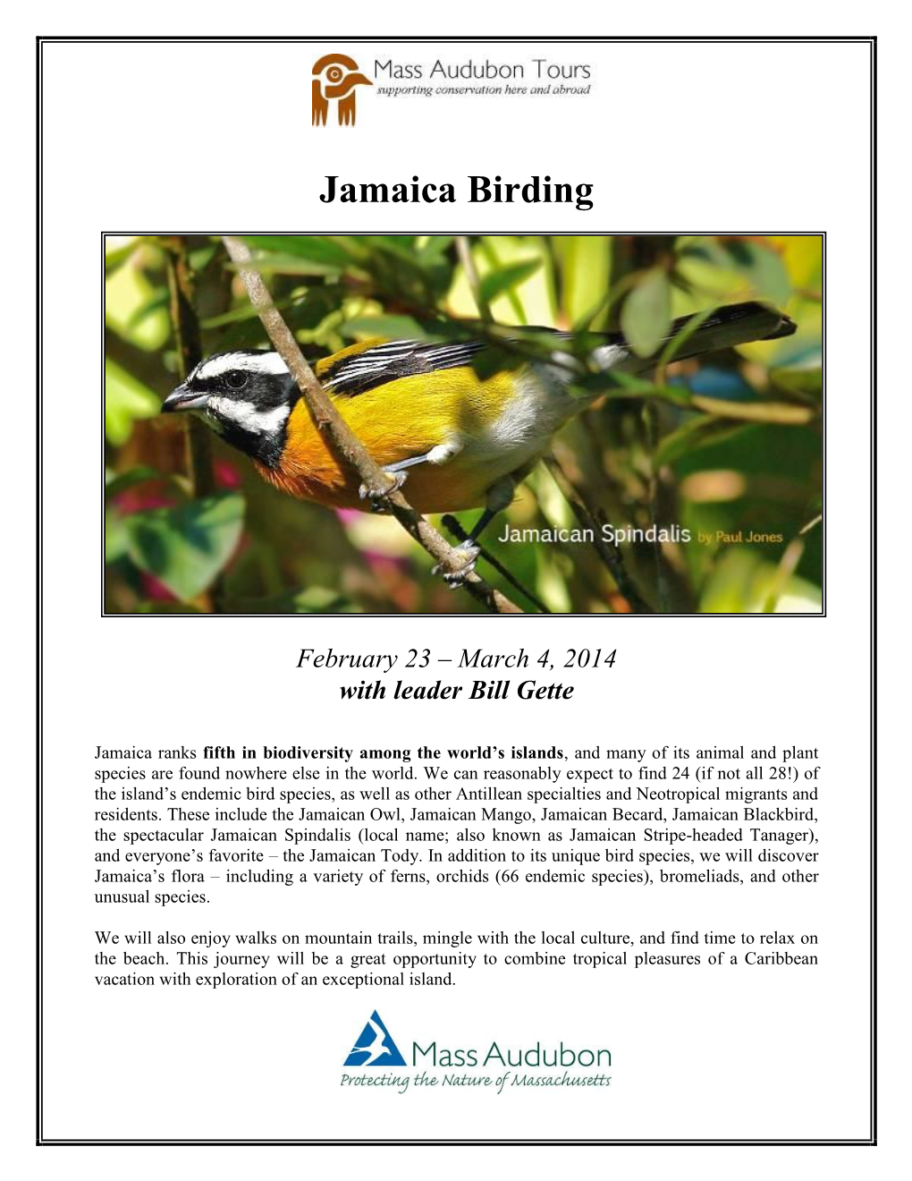 Jamaica Birding