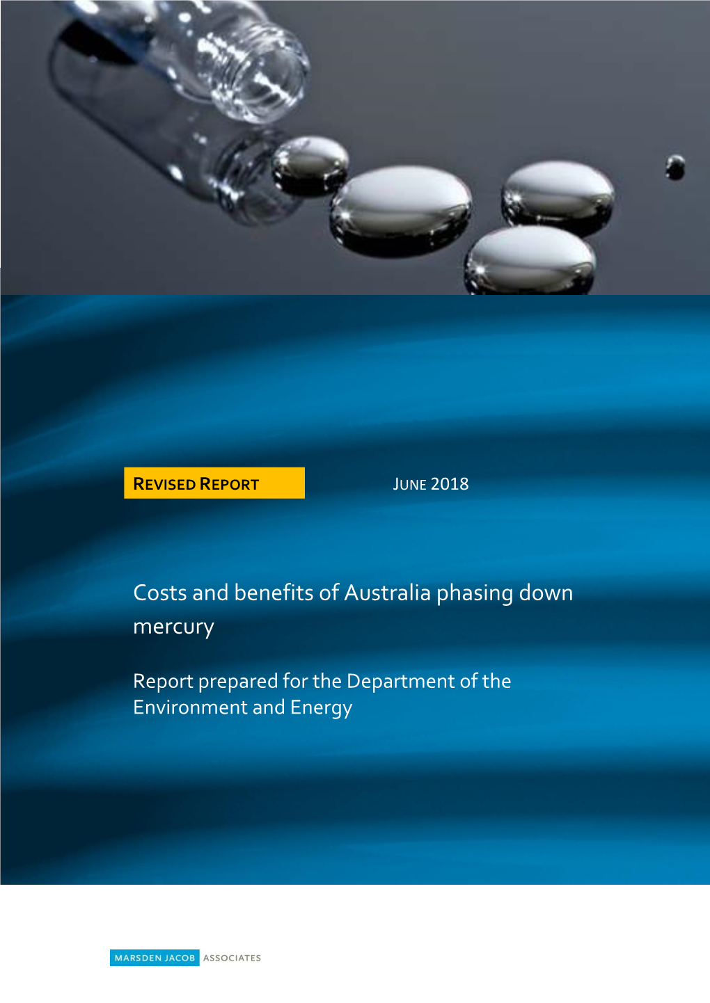 Cost-Benefit Analysis of Phasing Down Mercury