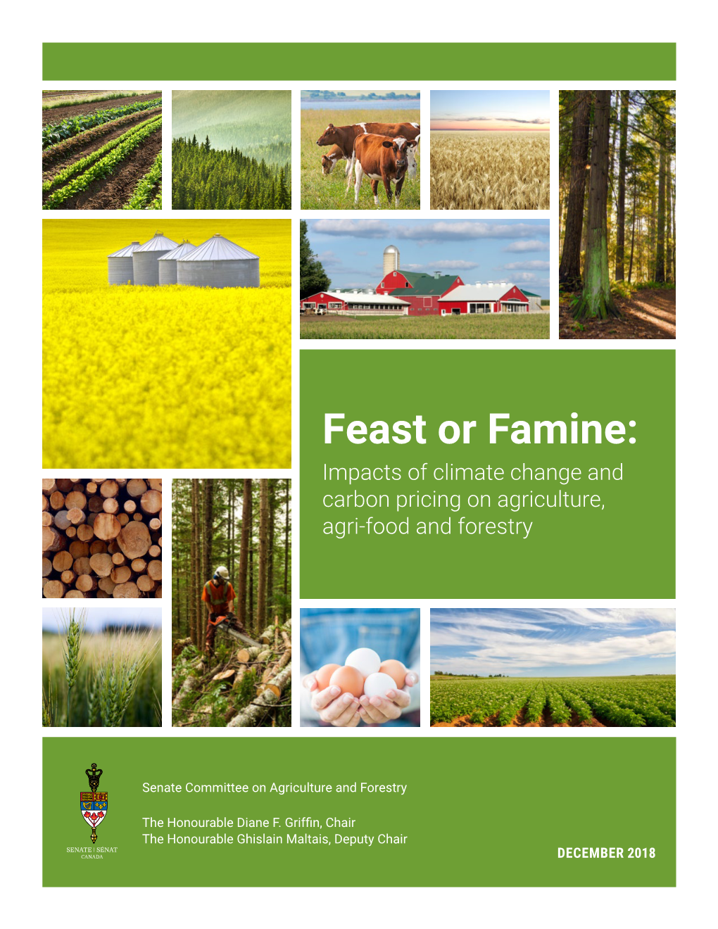 Feast Or Famine: Impacts of Climate Change and Carbon Pricing on Agriculture, Agri-Food and Forestry