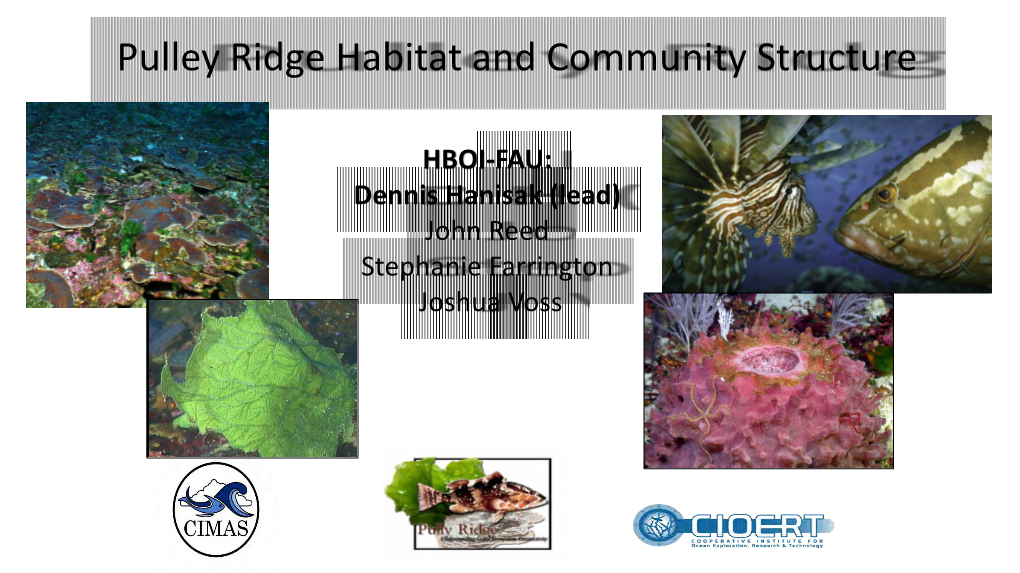 Pulley Ridge Habitat and Community Structure