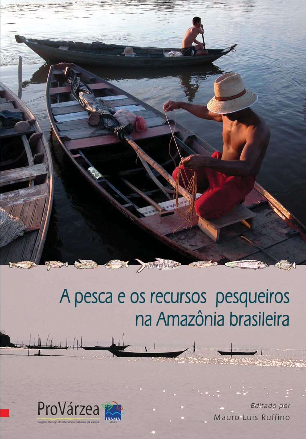 A Pesca E Os Recursos Pesqueiros Na Amazônia Brasileira Ministério Do Meio Ambiente - MMA Maria Osmarina Marina Da Silva Vaz De Lima