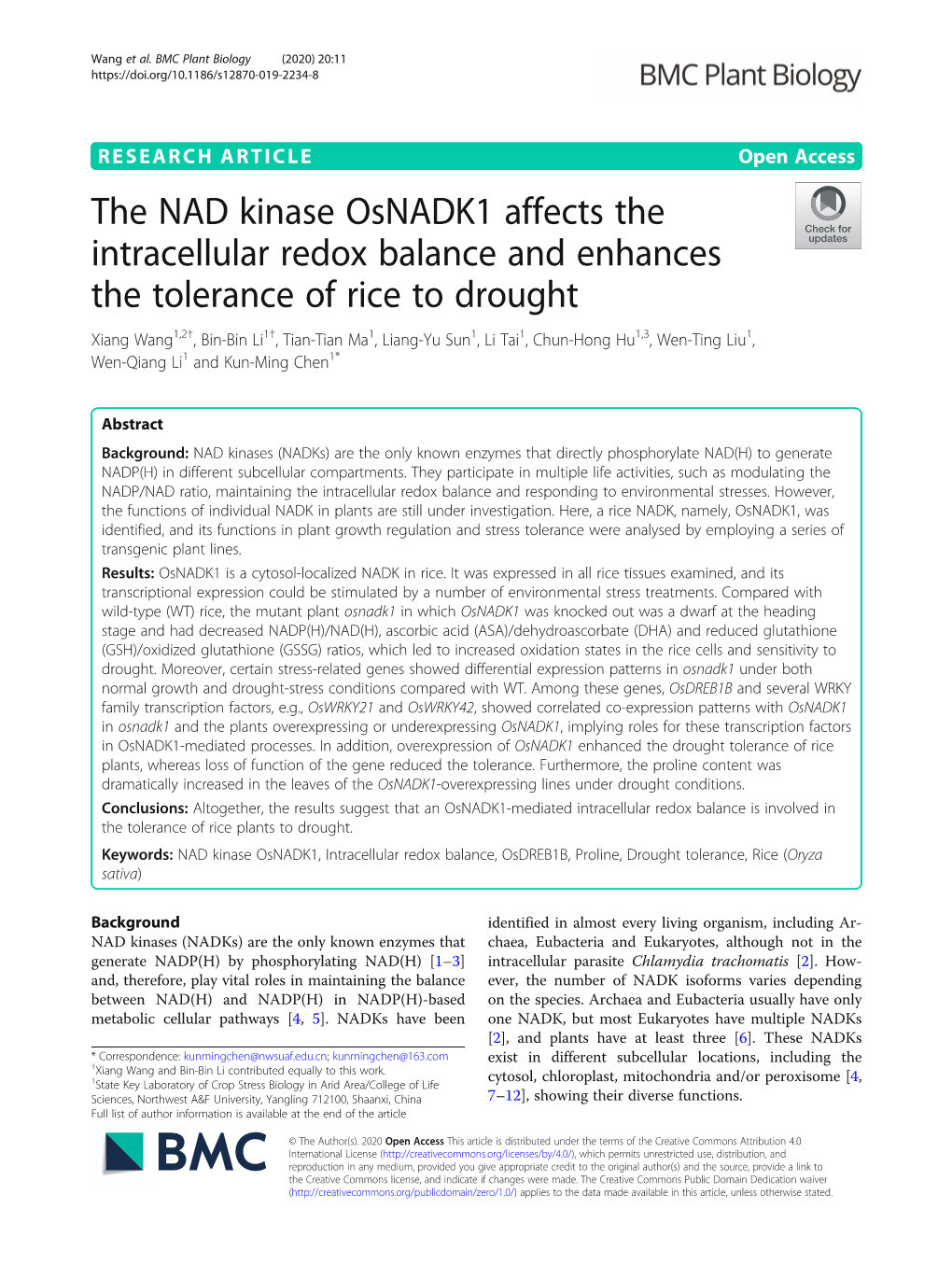 The NAD Kinase Osnadk1 Affects the Intracellular Redox Balance And