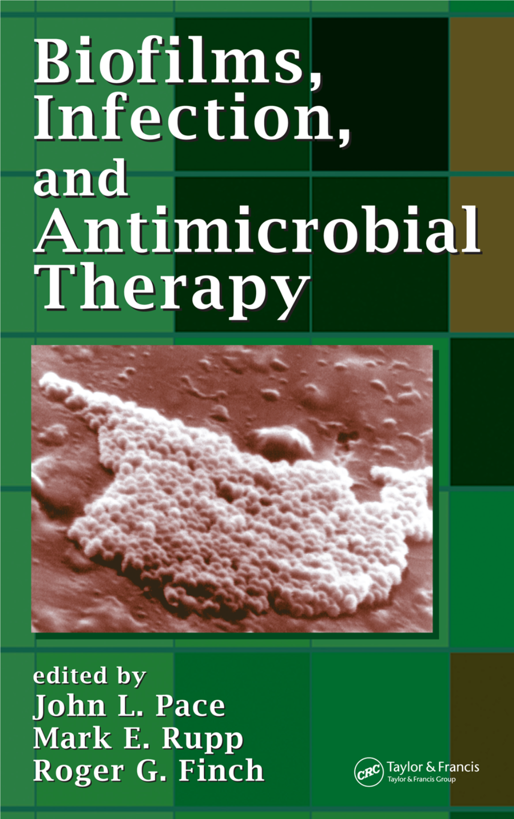 Biofilms, Infection, and Antimicrobial Therapy