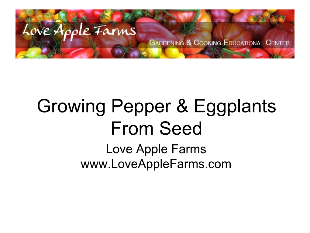 Growing Pepper & Eggplants from Seed